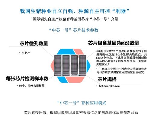 江西2021年十大科技成果揭曉 多項(xiàng)技術(shù)成果達(dá)全球領(lǐng)先水平